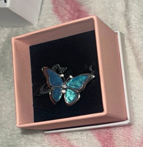 Pandora oversized butterfly - oversized,