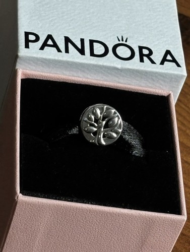 Pandora reflections family - reflections,