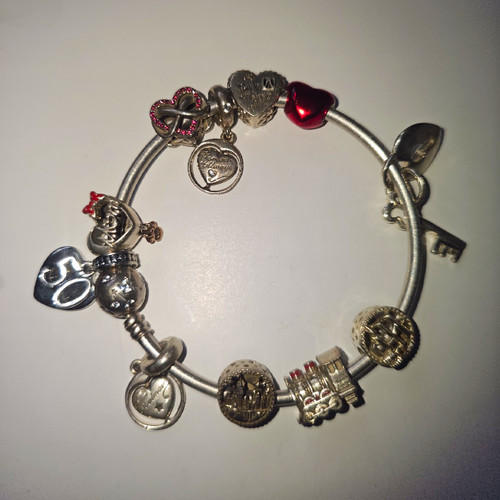 Pandora 925 silver rigid - pandora,