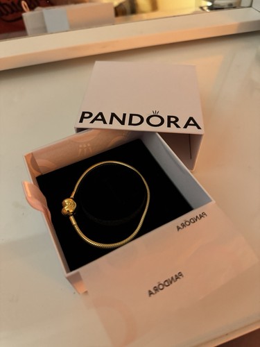 Pandora brand new moments - pandora,